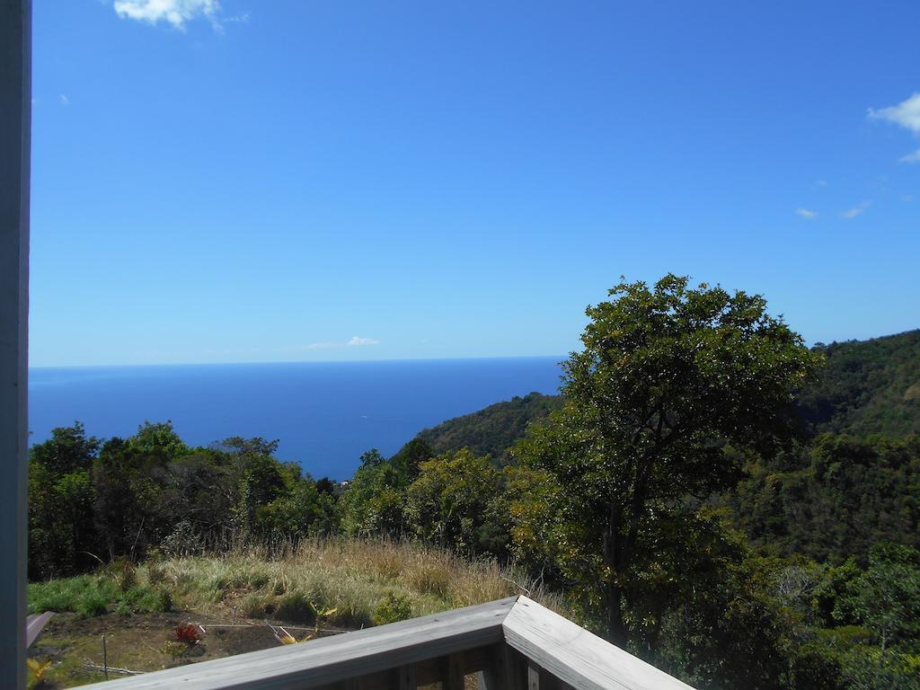 Diamond View Cottages Roseau Quarto foto